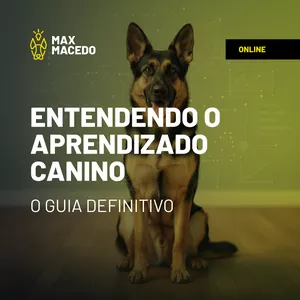 Entendendo o Aprendizado Canino: O Guia Definitivo! 🇵🇹